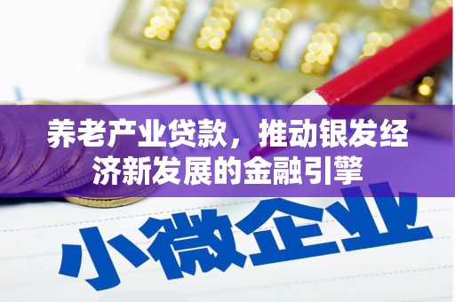 塔城养老产业贷款，推动银发经济新发展的金融引擎