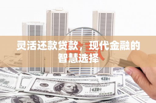 塔城灵活还款贷款，现代金融的智慧选择