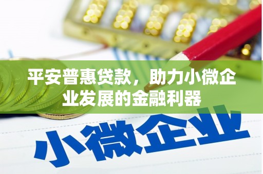 塔城平安普惠贷款，助力小微企业发展的金融利器