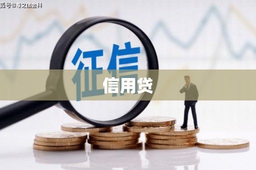 塔城信用贷