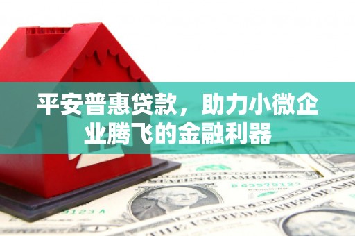 塔城平安普惠贷款，助力小微企业腾飞的金融利器