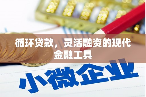 塔城循环贷款，灵活融资的现代金融工具