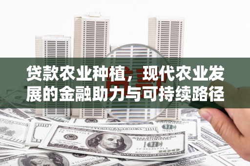 塔城贷款农业种植，现代农业发展的金融助力与可持续路径
