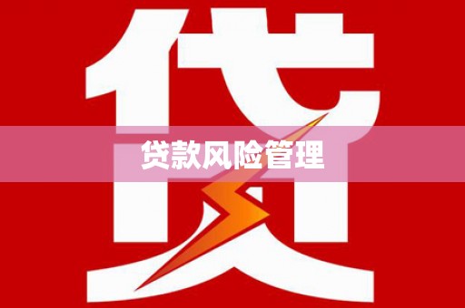 塔城贷款风险管理