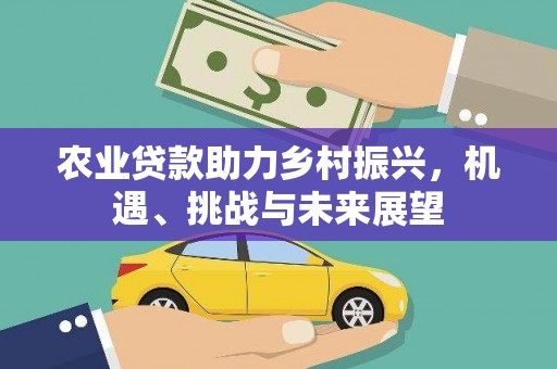 塔城农业贷款助力乡村振兴，机遇、挑战与未来展望