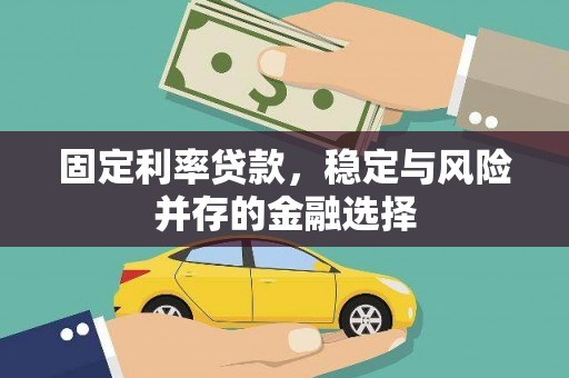 塔城固定利率贷款，稳定与风险并存的金融选择