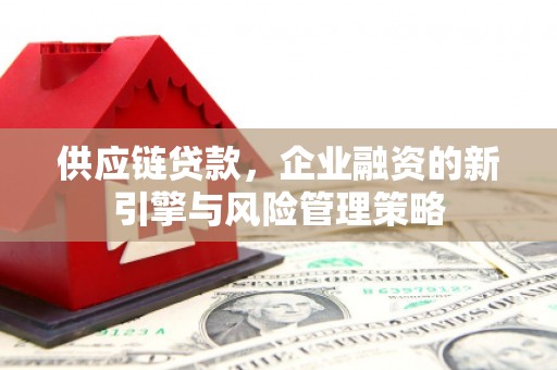 塔城供应链贷款，企业融资的新引擎与风险管理策略
