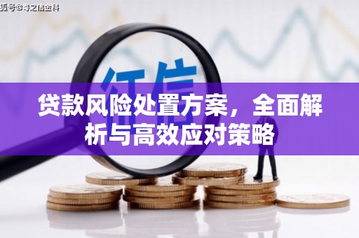 塔城贷款风险处置方案，全面解析与高效应对策略