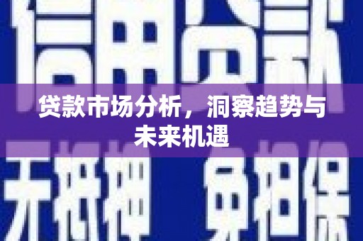 塔城贷款市场分析，洞察趋势与未来机遇