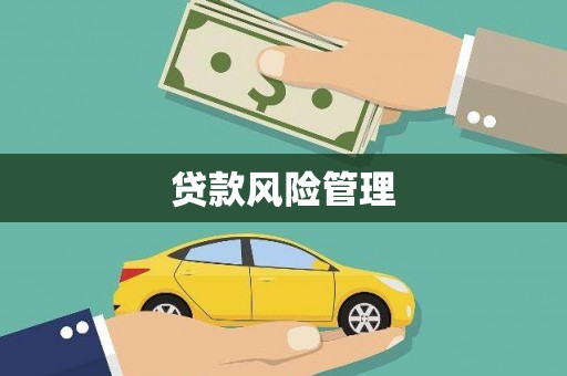 塔城贷款风险管理
