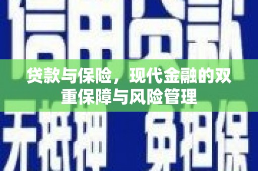塔城贷款与保险，现代金融的双重保障与风险管理