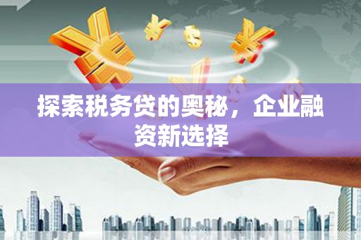 塔城探索税务贷的奥秘，企业融资新选择