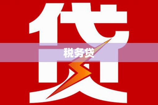 塔城税务贷