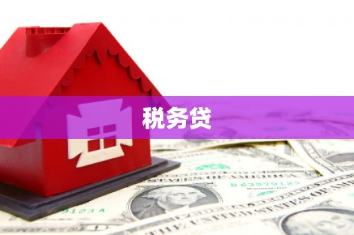 塔城税务贷