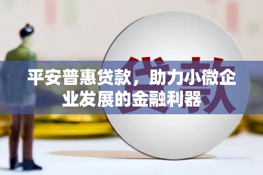 塔城平安普惠贷款，助力小微企业发展的金融利器