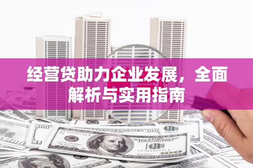 塔城经营贷助力企业发展，全面解析与实用指南