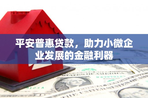 塔城平安普惠贷款，助力小微企业发展的金融利器