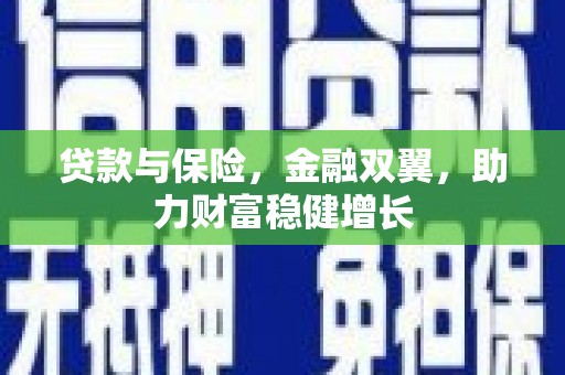 塔城贷款与保险，金融双翼，助力财富稳健增长
