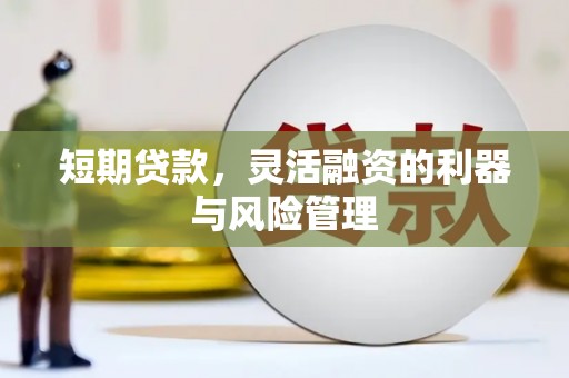 塔城短期贷款，灵活融资的利器与风险管理