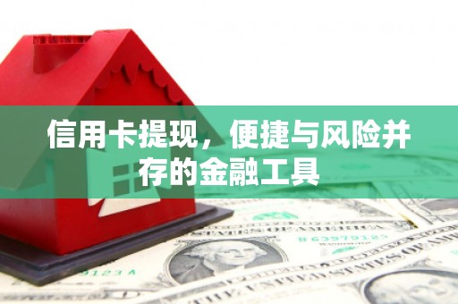 塔城信用卡提现，便捷与风险并存的金融工具
