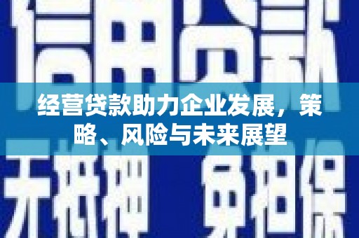 塔城经营贷款助力企业发展，策略、风险与未来展望