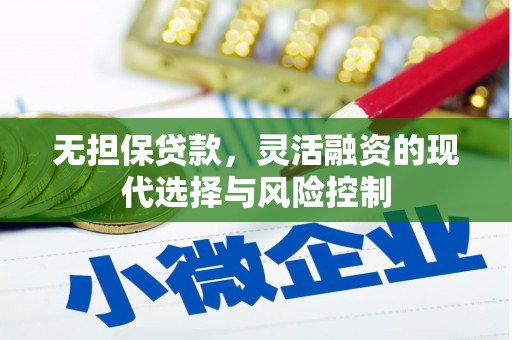 塔城无担保贷款，灵活融资的现代选择与风险控制