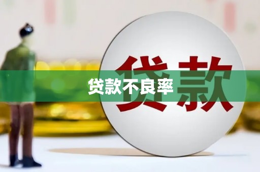 塔城贷款不良率