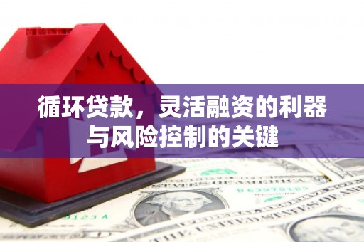 塔城循环贷款，灵活融资的利器与风险控制的关键