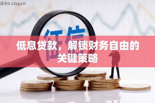 塔城低息贷款，解锁财务自由的关键策略