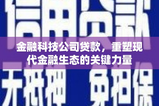 塔城金融科技公司贷款，重塑现代金融生态的关键力量