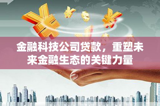 塔城金融科技公司贷款，重塑未来金融生态的关键力量