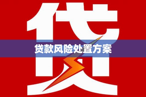 塔城贷款风险处置方案