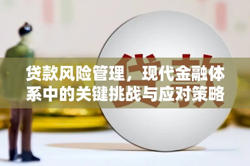 塔城贷款风险管理，现代金融体系中的关键挑战与应对策略