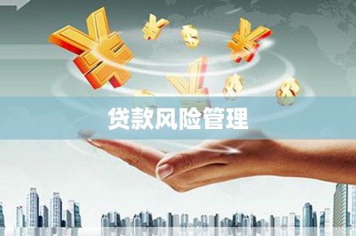 塔城贷款风险管理