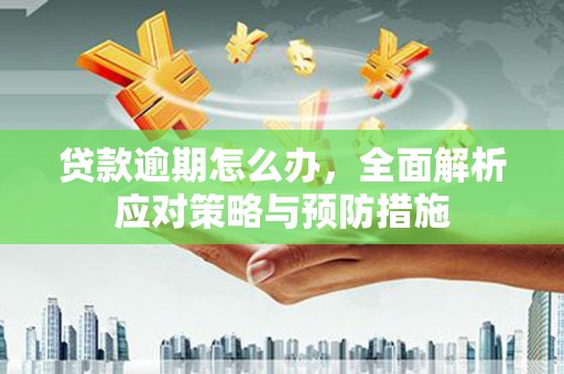 塔城贷款逾期怎么办，全面解析应对策略与预防措施