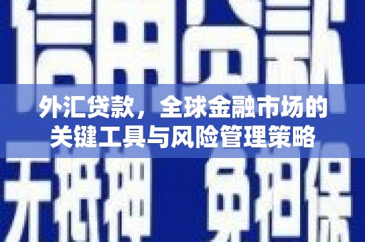 塔城外汇贷款，全球金融市场的关键工具与风险管理策略