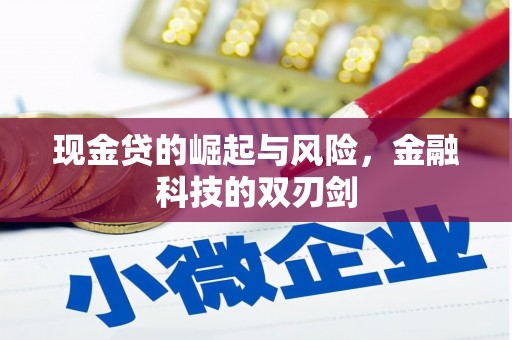 塔城现金贷的崛起与风险，金融科技的双刃剑