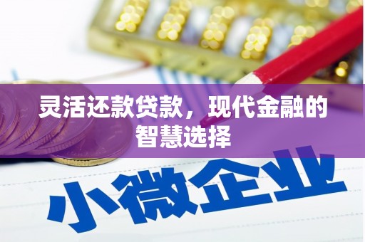 塔城灵活还款贷款，现代金融的智慧选择