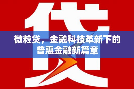 塔城微粒贷，金融科技革新下的普惠金融新篇章