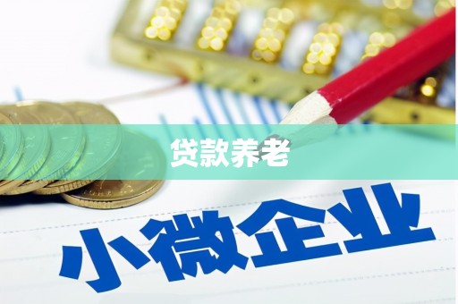 塔城贷款养老