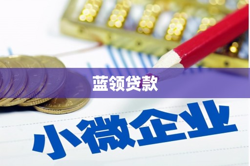 塔城蓝领贷款