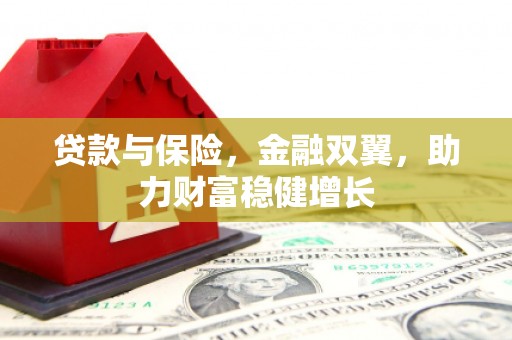 塔城贷款与保险，金融双翼，助力财富稳健增长