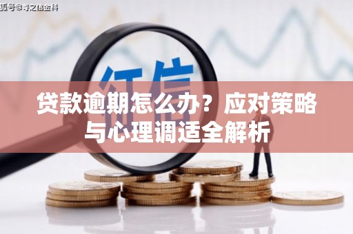 塔城贷款逾期怎么办？应对策略与心理调适全解析
